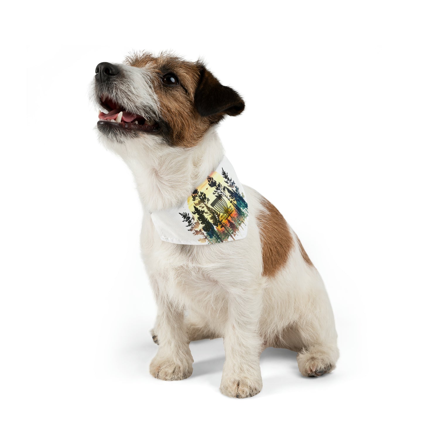 Disc Golf Basket Forest Sunset Pet Bandana Collar