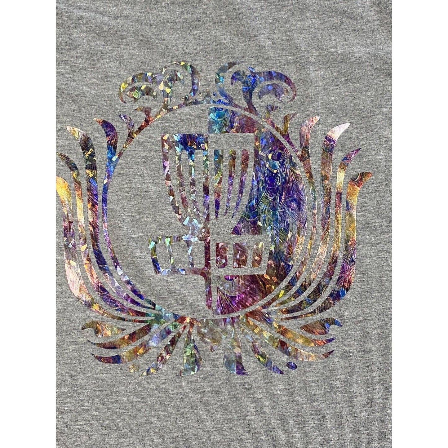 Disc Golf Shirt RAINBOW HOLOGRAPHIC Basket Logo Graphic T-Shirt M GREY